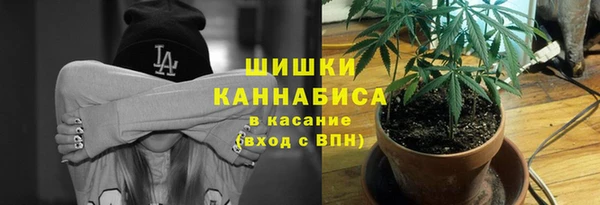 spice Арсеньев