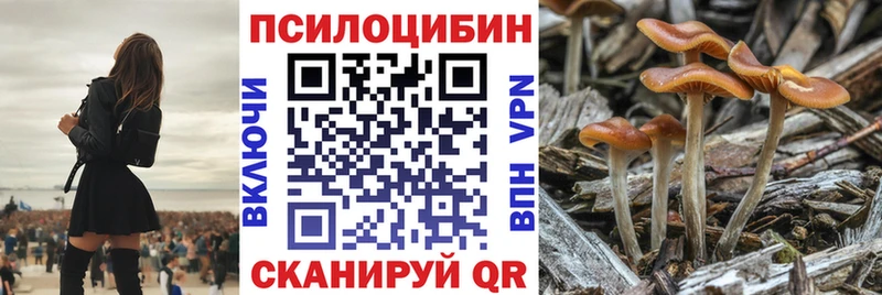 Псилоцибиновые грибы мухоморы  гидра ONION  Ивантеевка  где купить наркотик 
