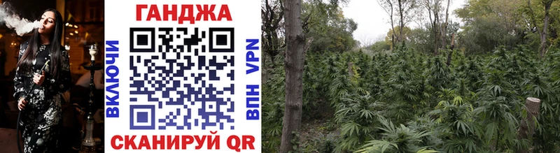 Каннабис Ganja Ивантеевка